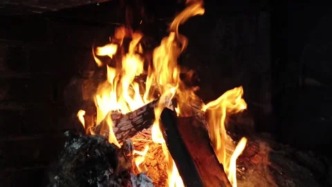Firewood Video stock 201205265