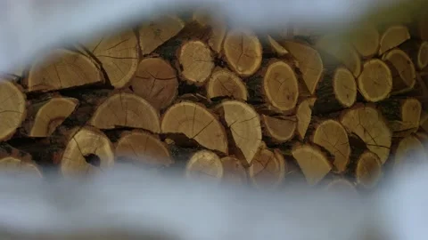 Firewood  Stock Footage 204886176