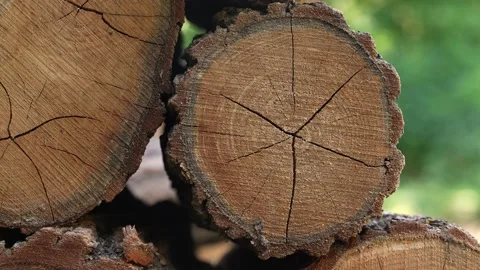  Firewood  Stock Footage 204886632