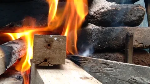 Firewood Stock Footage 257454676