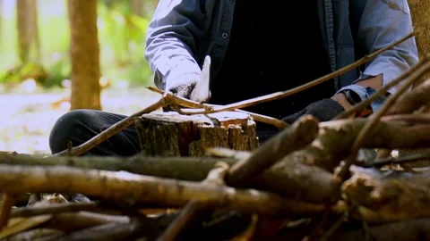 Firewood Video stock 301777033