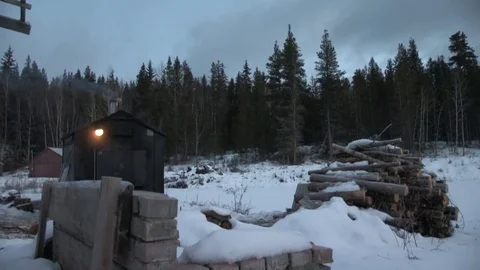 Firewood in forest in Canada Video stock 76706040