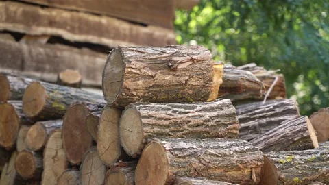 Firewood in the garden Stock Footage 204886212