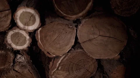 Firewood Log Pile Stock-Footage 293194360