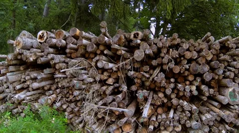 Firewood, logs Video stock 32968567