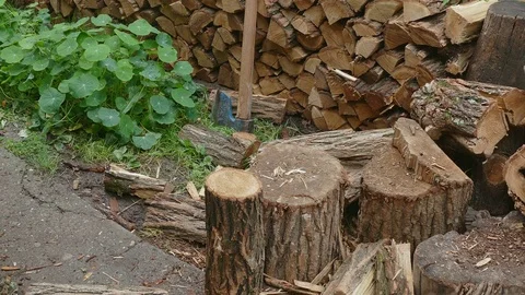 Firewood logs spitting with axe Stock Footage 80469566