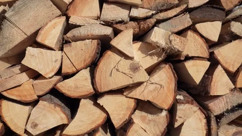 Firewood logs stacked and ready for winter Video stock 308570214