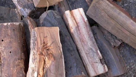 Firewood Logs Stacked Close Up Stock Footage 293261511