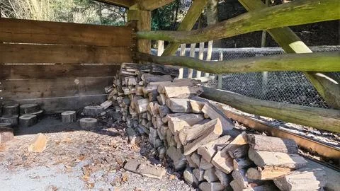  Firewood logs stacked inside a rustic wooden shed with sunlight hitting. Stock Photos