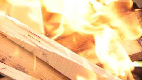 Firewood, macro, dry Stock Footage 76864811