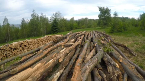 Firewood on meadow Stock Footage 126423663