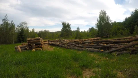 Firewood on meadow Stock Footage 128254729