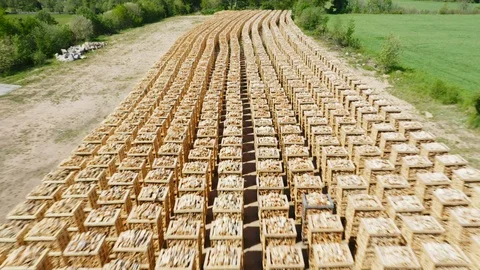 Firewood on pallets fast backwards flyover Stock Footage 108487834