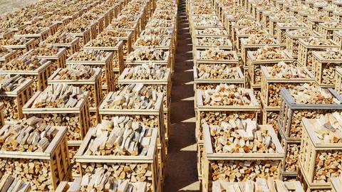 Firewood on pallets Stock Footage 108484091