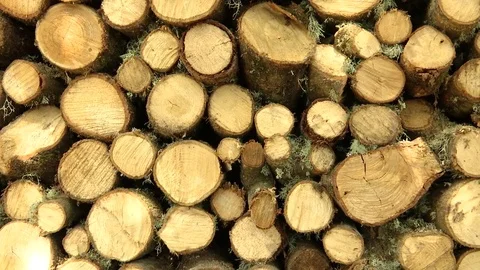 Firewood in Perfect Order Stock Footage 80489421