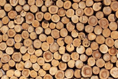 Firewood Stock Photos
