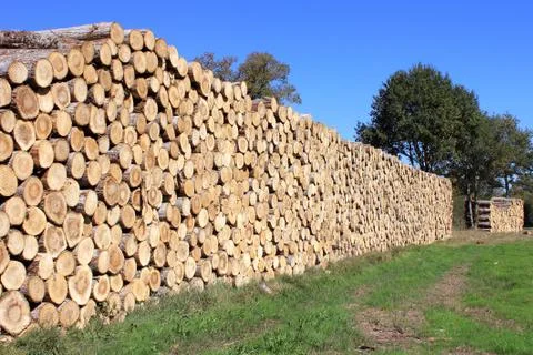 Firewood Stock Photos