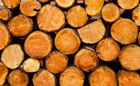 Firewood Stock Photos