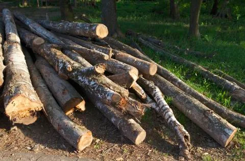 Firewood Stock Photos