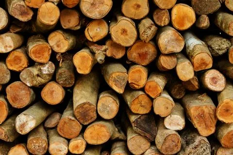 Firewood Stock Photos