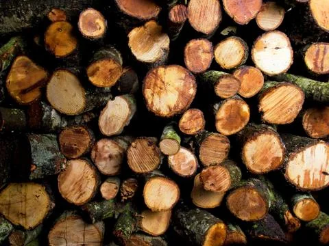 Firewood Foto stock