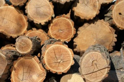 Firewood Stock Photos