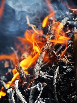 Firewood Stock Photos