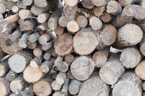 Firewood Stock Photos