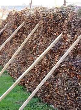 Firewood Stock Photos