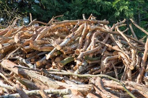 Firewood Stock Photos