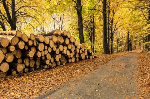 Firewood Stock Photos