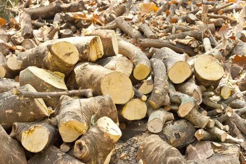 Firewood Stock Photos