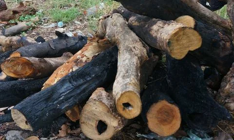 Firewood Foto stock