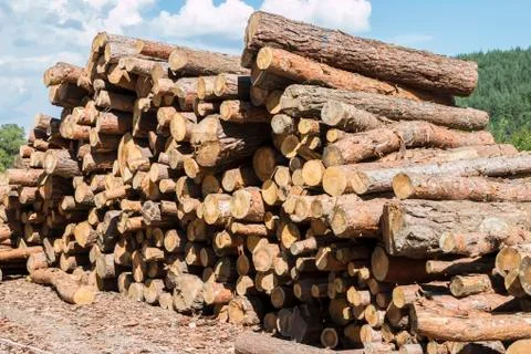 Firewood Stock Photos