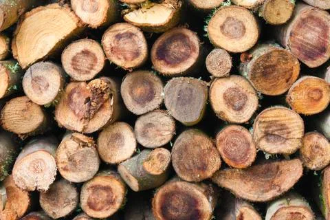Firewood Stock Photos