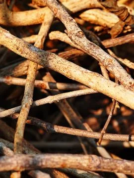 Firewood  Stock Photos