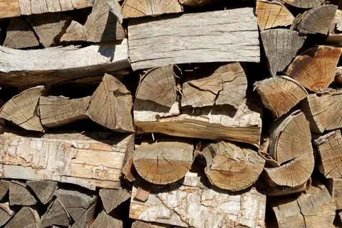 Firewood Фото