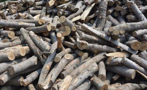 Firewood Stock Photos