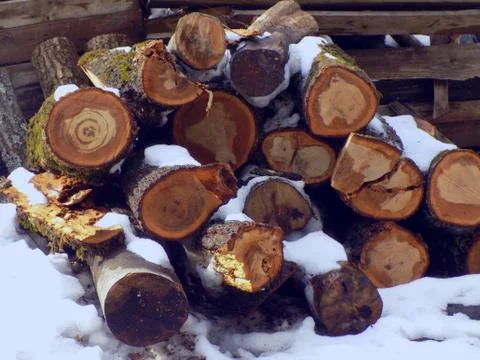 Firewood Stock Photos