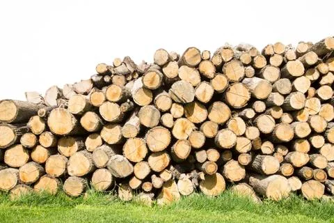Firewood Фото