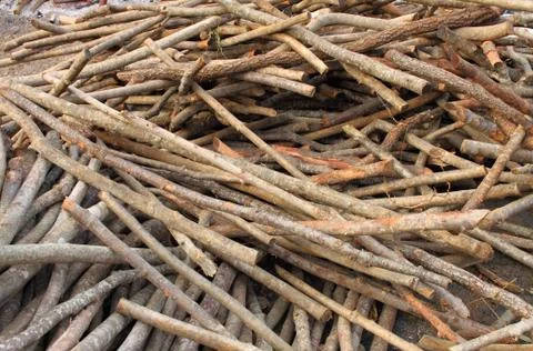 Firewood Stock Photos