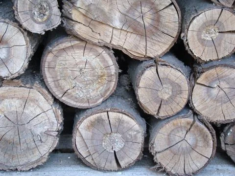 Firewood Photos