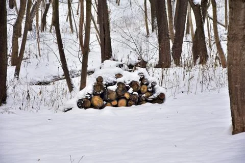 Firewood Stock Photos