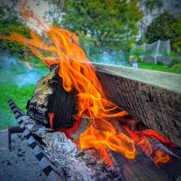Firewood 写真素材