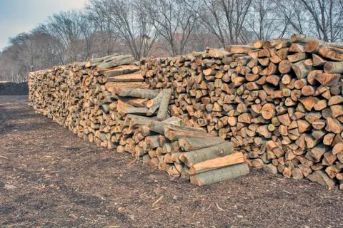 Firewood Stock Photos