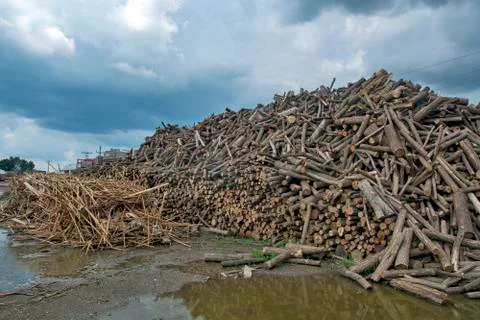 Firewood Stock Photos