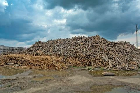 Firewood Stock Photos