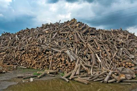 Firewood Stock Photos