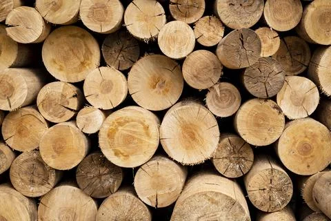 Firewood Stock Photos