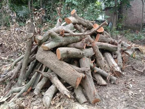 Firewood Stock Photos